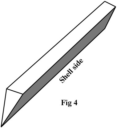 Fig4